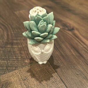 Bath and Body Works Owl Succulent Wallflower Fragrance Plug